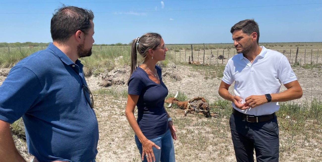 Pullaro: "Pedimos presencia del ejército para asistir zonas afectadas"