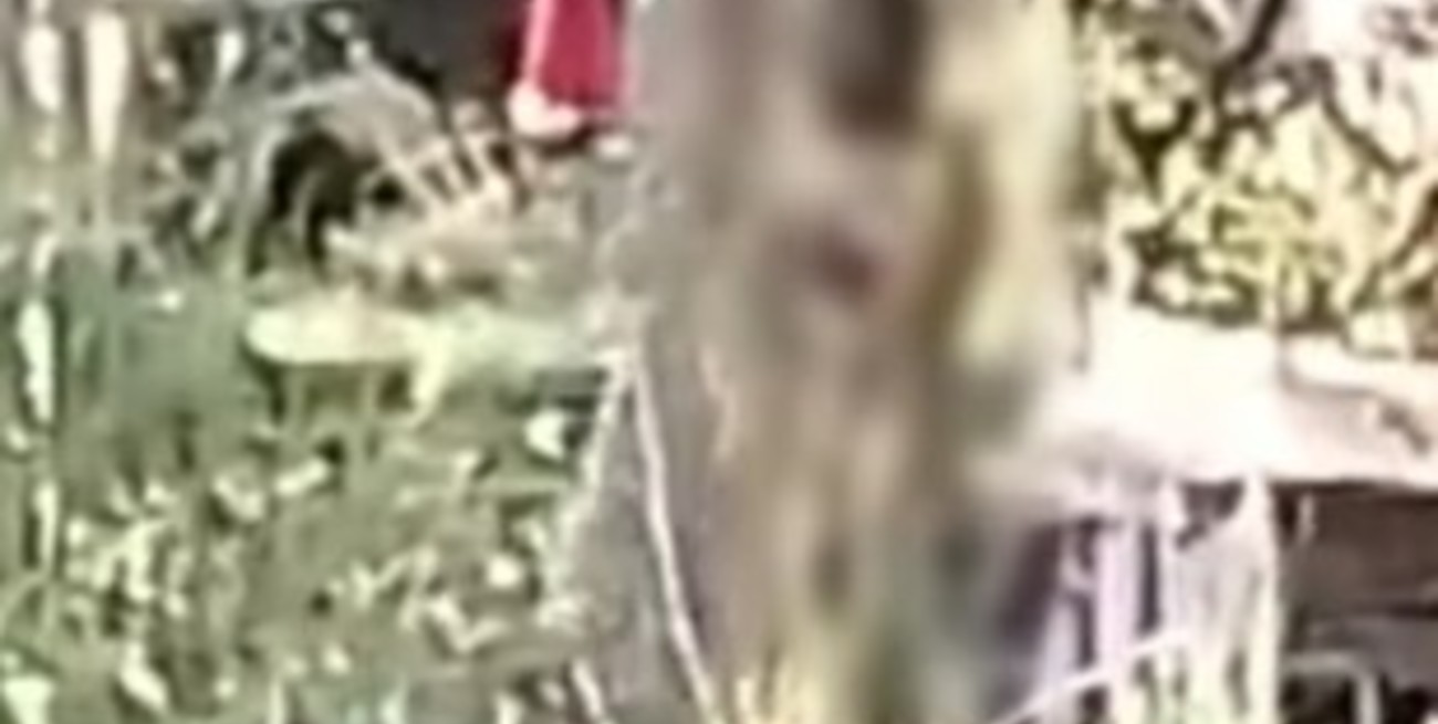 Misiones: vecinos denunciaron que un hombre se bañaba desnudo con su hija menor de edad