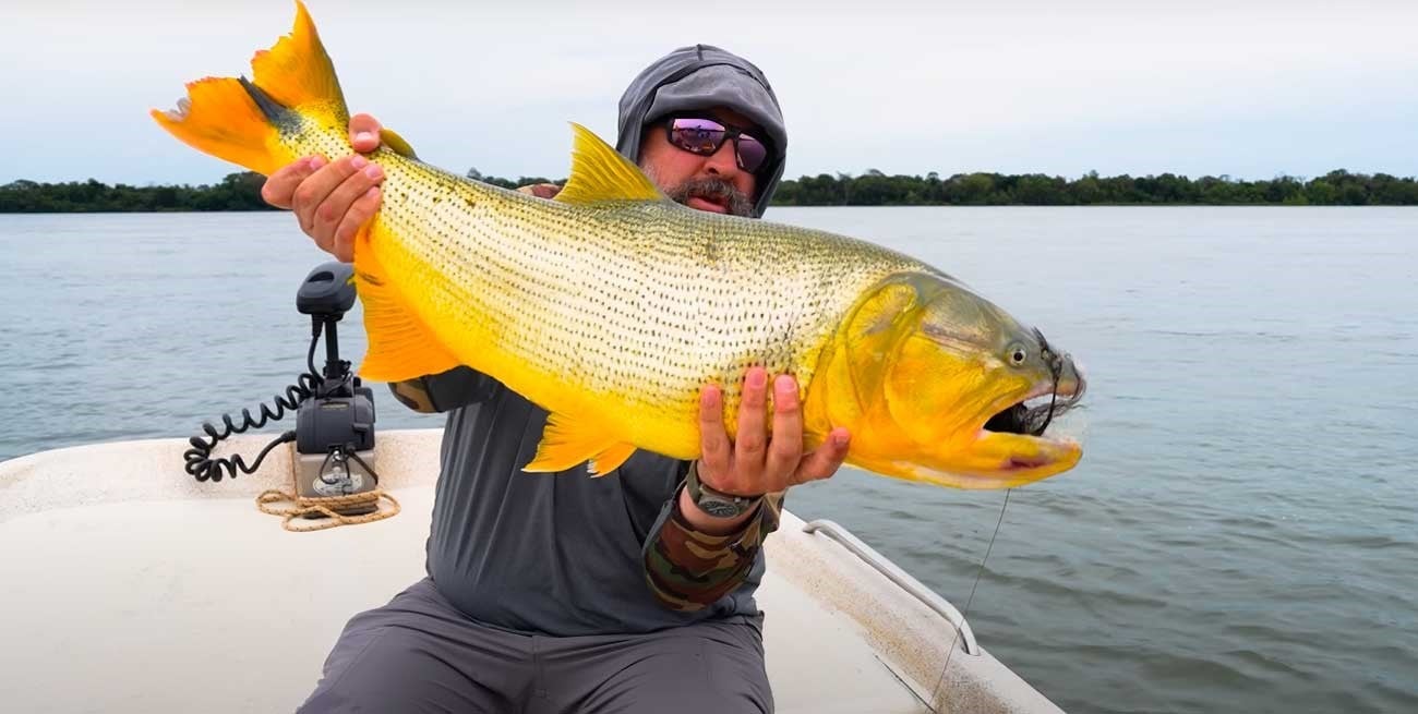 "El tesoro dorado": pescadores estadounidenses y su experiencia en el Paraná