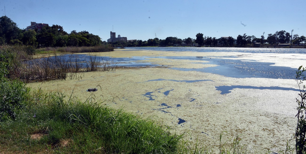 Aseguran que el agua del lago del Parque del Sur presenta buenas condiciones ambientales