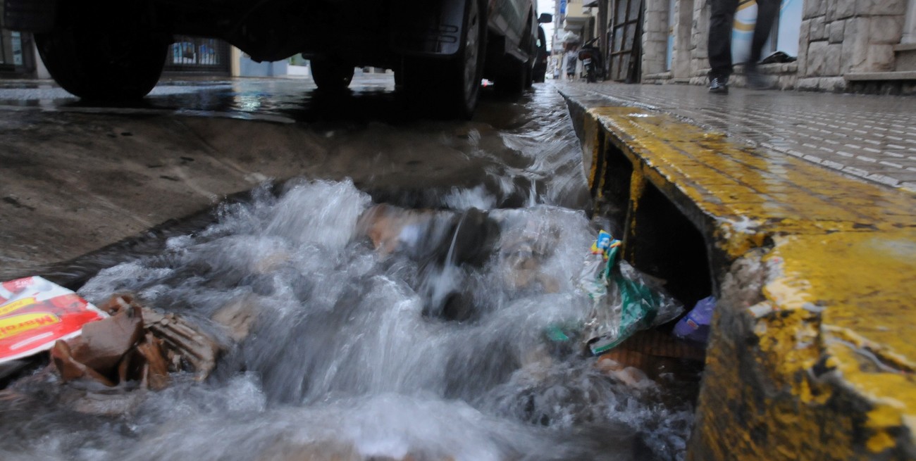 Día Mundial de la Educación Ambiental: la historia del papelito que terminó en la Setúbal