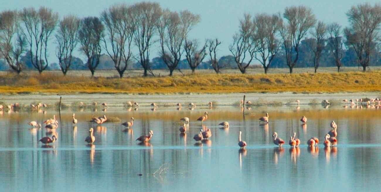 Cancillería visibiliza el proyecto de turismo sustentable en Venado Tuerto