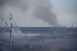 El proyecto de Ley de Humedales lleva casi 10 años de postergaciones. Créditos: Marcelo Manera
