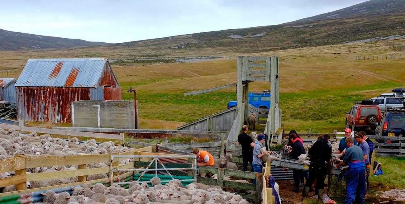 Radiografía demográfica de las Islas Malvinas: población envejecida y más diversidad cultural