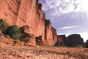 La modalidad será similar a la de años anteriores