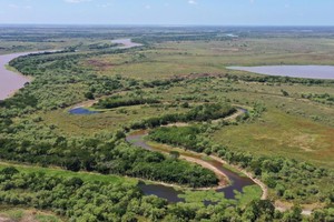Desarrollo sostenible de los territorios, a través de políticas integrales hacia el futuro y diseñando soluciones basadas en la naturaleza.