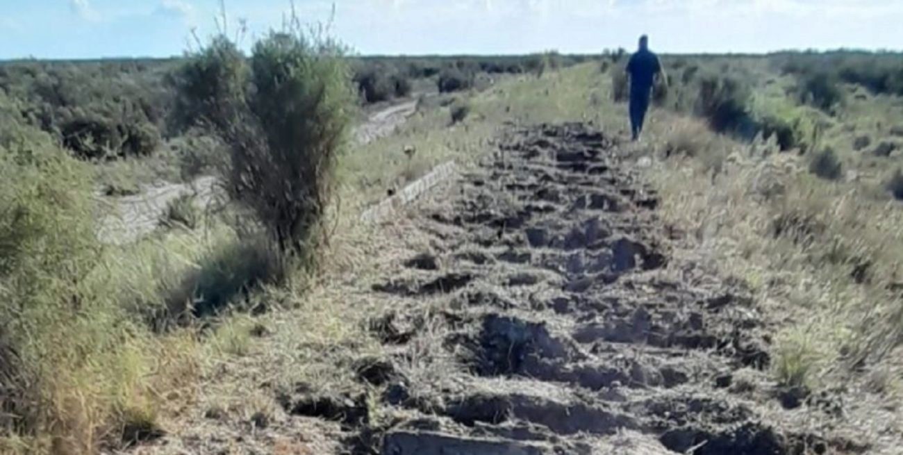 El Tren Patagónico no circula porque se robaron miles de metros de rieles