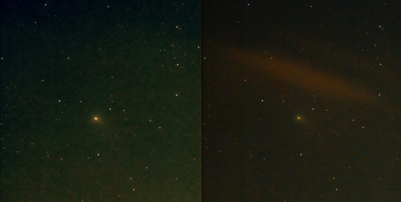 Tomaron la primera imagen del "cometa verde" en el cielo argentino