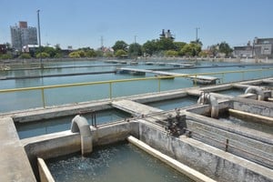 La propuesta de la empresa estatal es una suba del 80% de la tarifa. Crédito: Flavio Raina