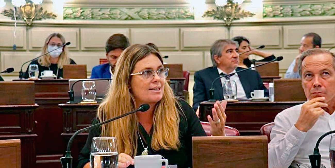 Silvana Di Stefano: "Esta gestión invirtió en educación menos que los gobiernos anteriores"