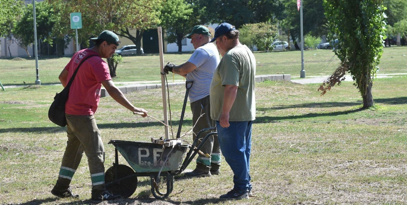 En el Parque Federal se plantaron árboles fuera de estación y se secaron más de la mitad