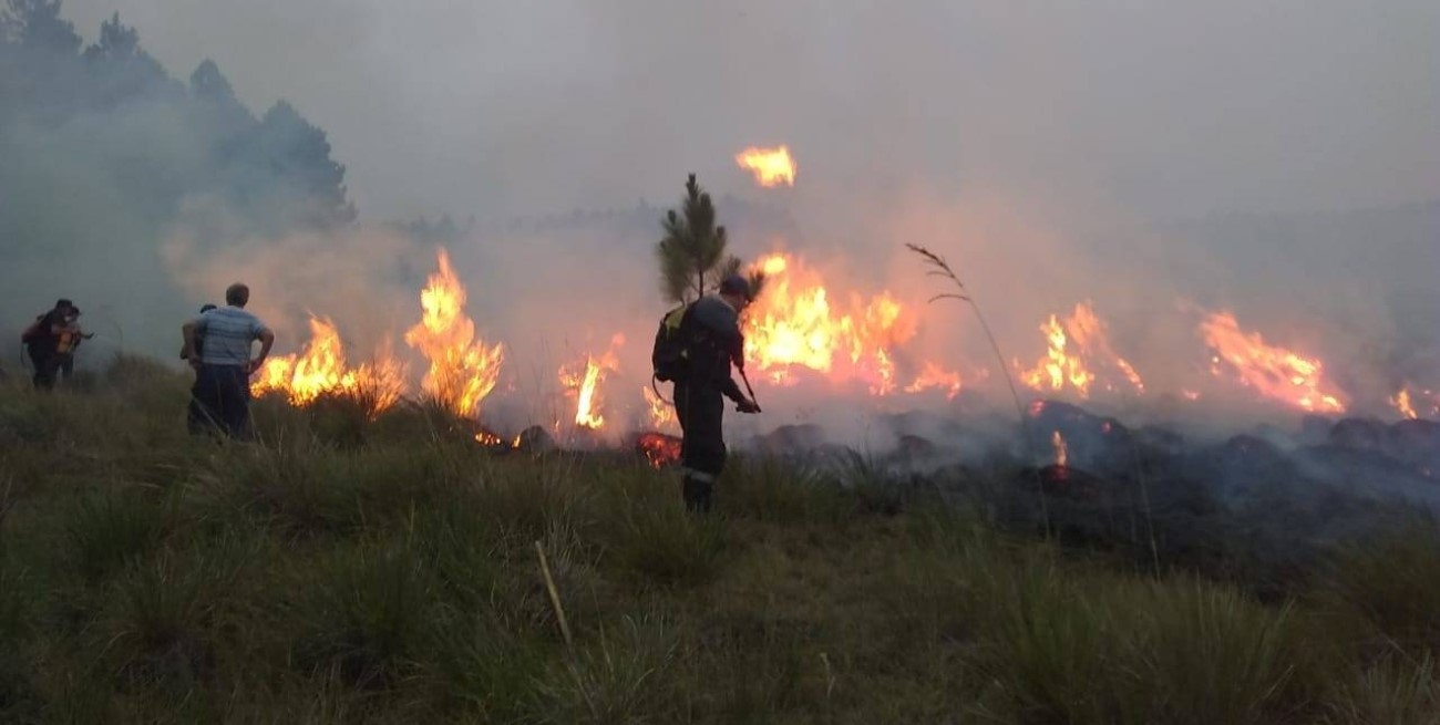 Se registran focos activos de incendios forestales en dos provincias de Argentina