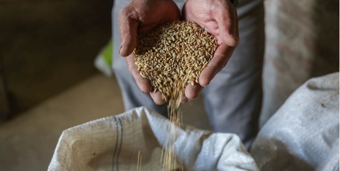 Economía logró la apertura de nuevos mercados estratégicos para las exportaciones argentinas