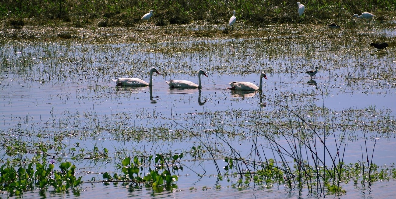 Villa Ocampo: el Intendente firmó dos importantes avales sobre medio ambiente