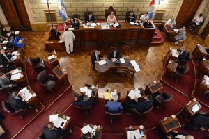 El texto ingresó para su tratamiento en las comisiones de Seguridad Pública, de Economía, Agricultura, Ganadería, Industria, Comercio, Turismo y Transporte, de Presupuesto y Hacienda y de Asuntos Constitucionales y Legislación General. Crédito: Prensa Senado