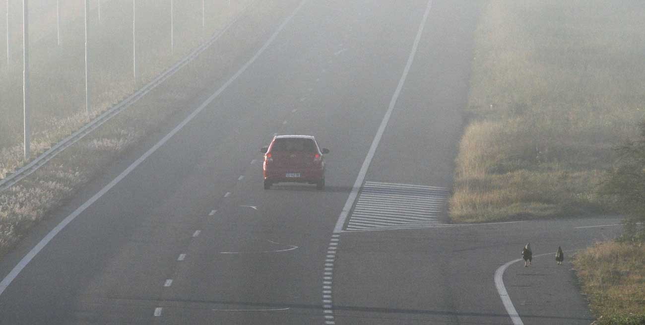Advierten por niebla en rutas del centro y sur santafesino