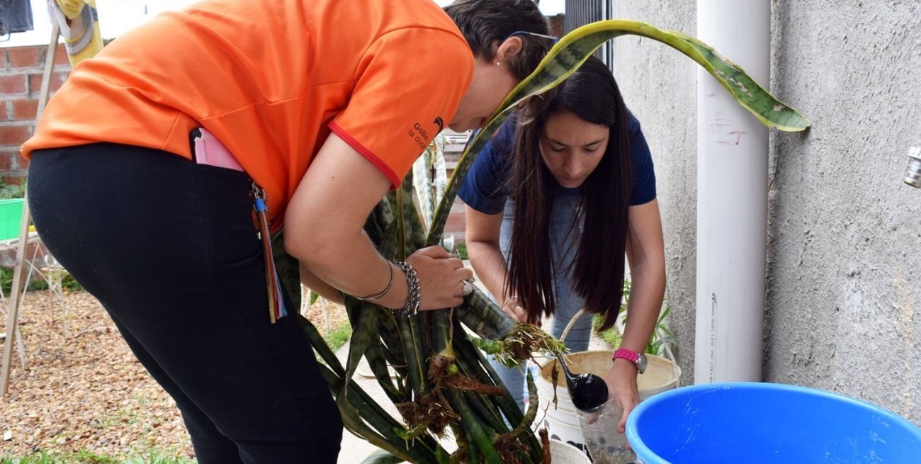 Confirmaron dos nuevos casos de dengue en la ciudad de Santa Fe