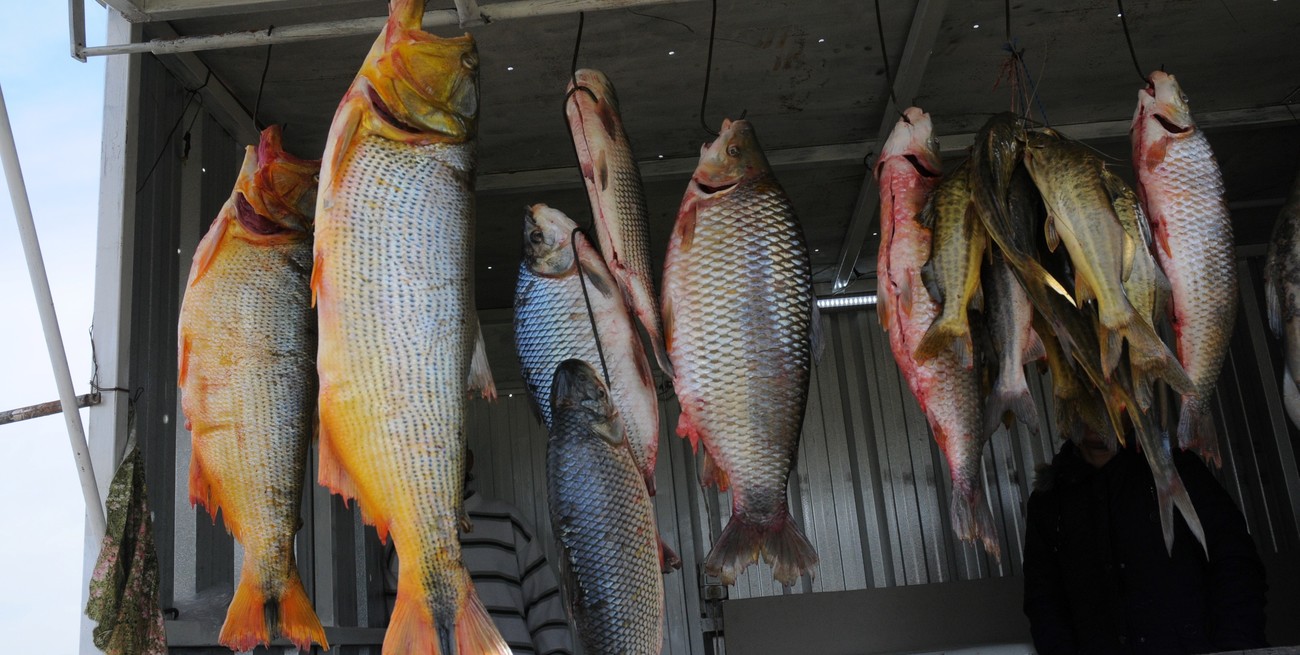 Usaban una pescadería de Coronda como pantalla para vender drogas