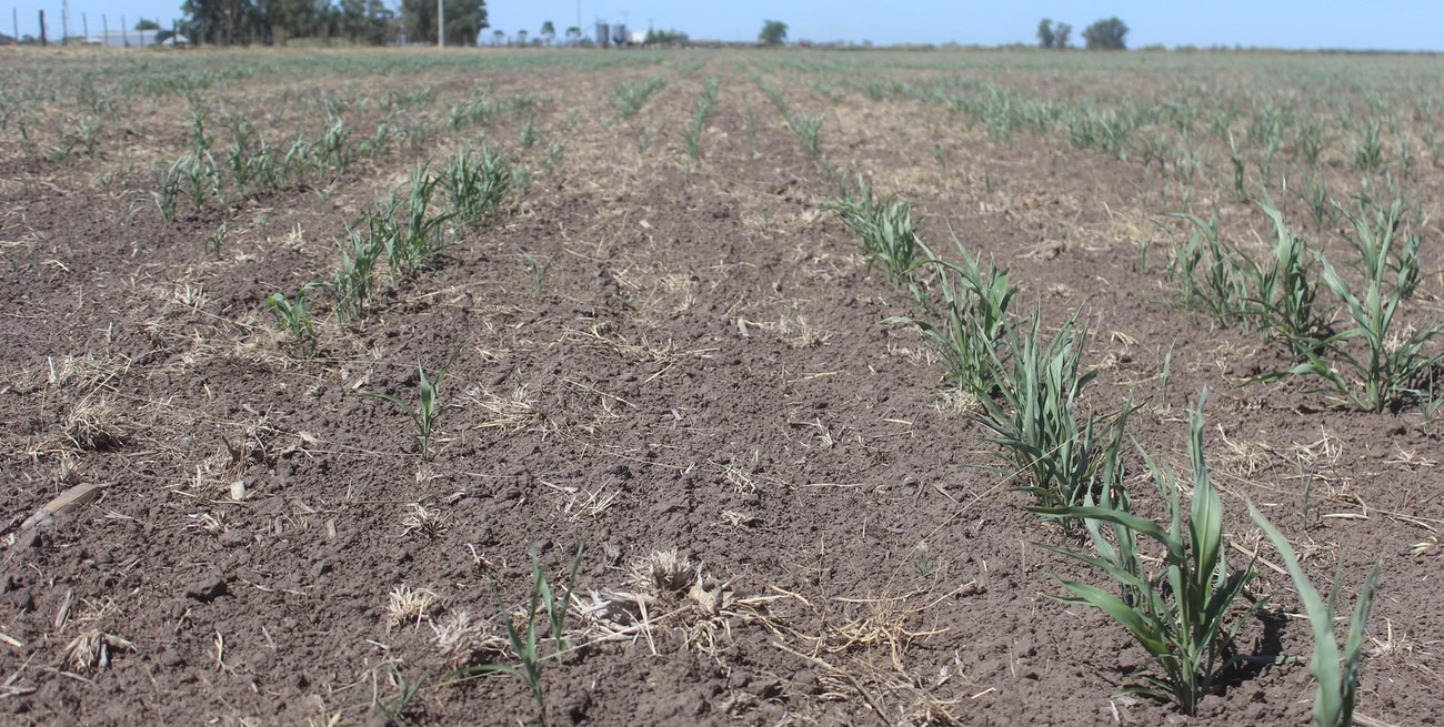 Por la sequía, el Gobierno y el FMI acordaron un cambio en las metas de acumulación de reservas 