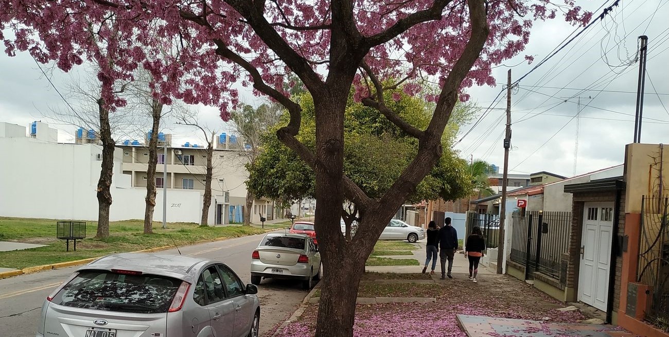 La FCA lanza una campaña sobre la importancia de la infraestructura verde urbana