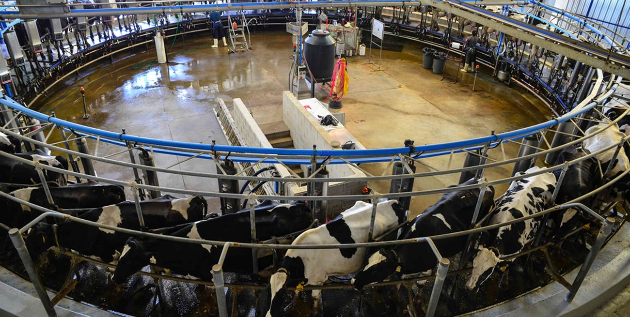 Arturo Videla en Santa Fe: "está próximo a salir" la compensación a tamberos