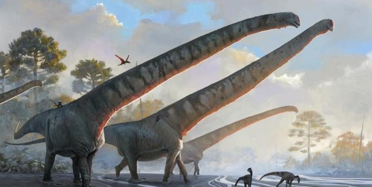 China: hallaron fósiles de un dinosaurio con el cuello más largo jamás descubierto