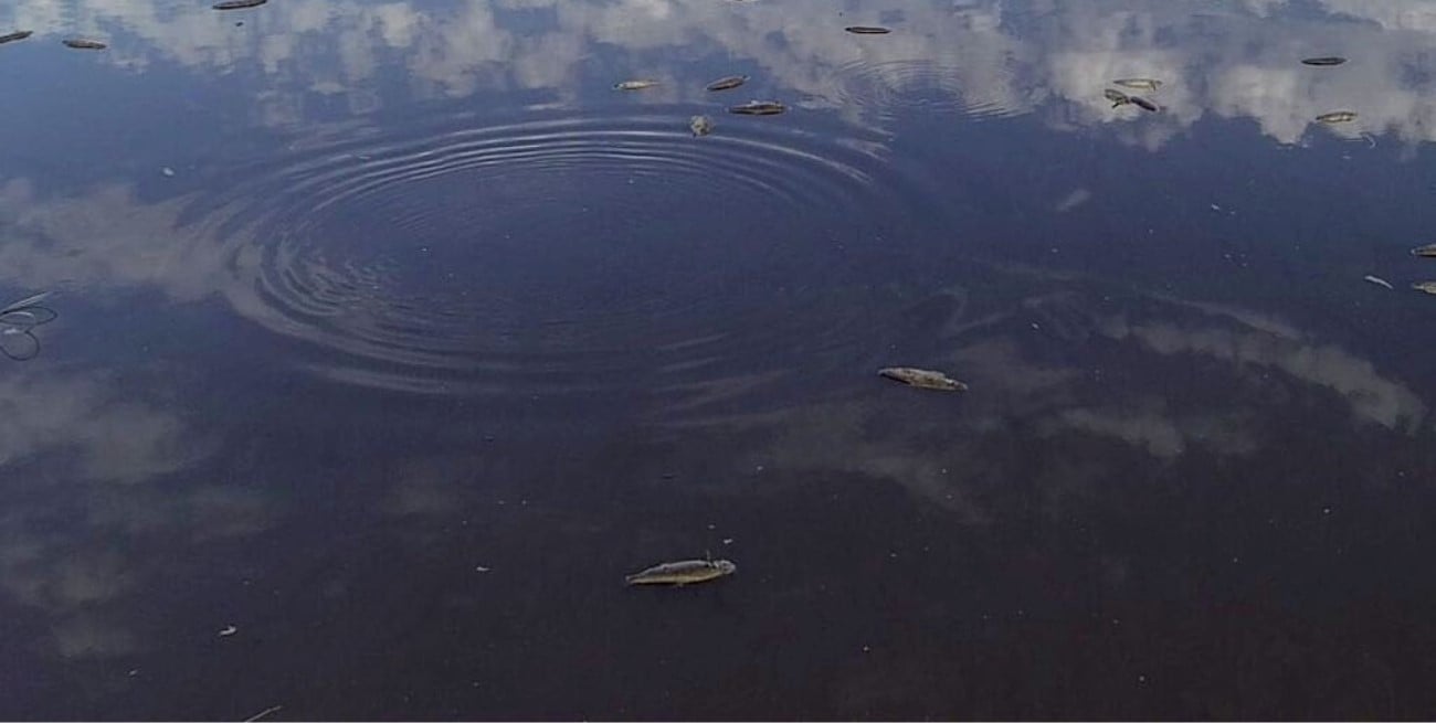 Revés judicial a una empresa por arrojar residuos tóxicos al río Paraná