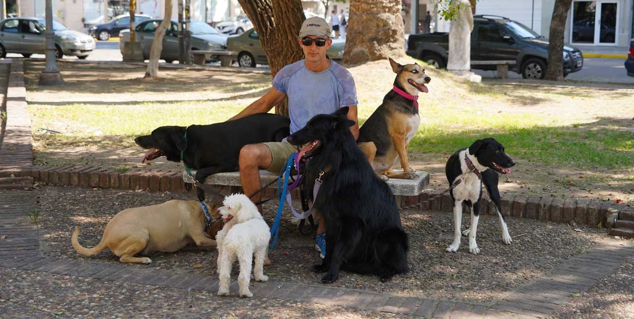 Los secretos de un paseador de perros que "encanta" a sus fieles clientes