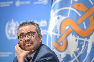 Seis científicos cuestionaron las directivas de la OMS por el hantavirus.
