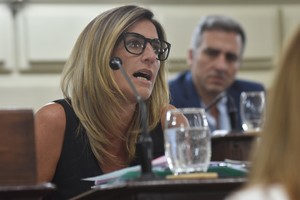 Cesira Arcando es una de las diputadas que no firmó. Crédito: Luis Cetraro