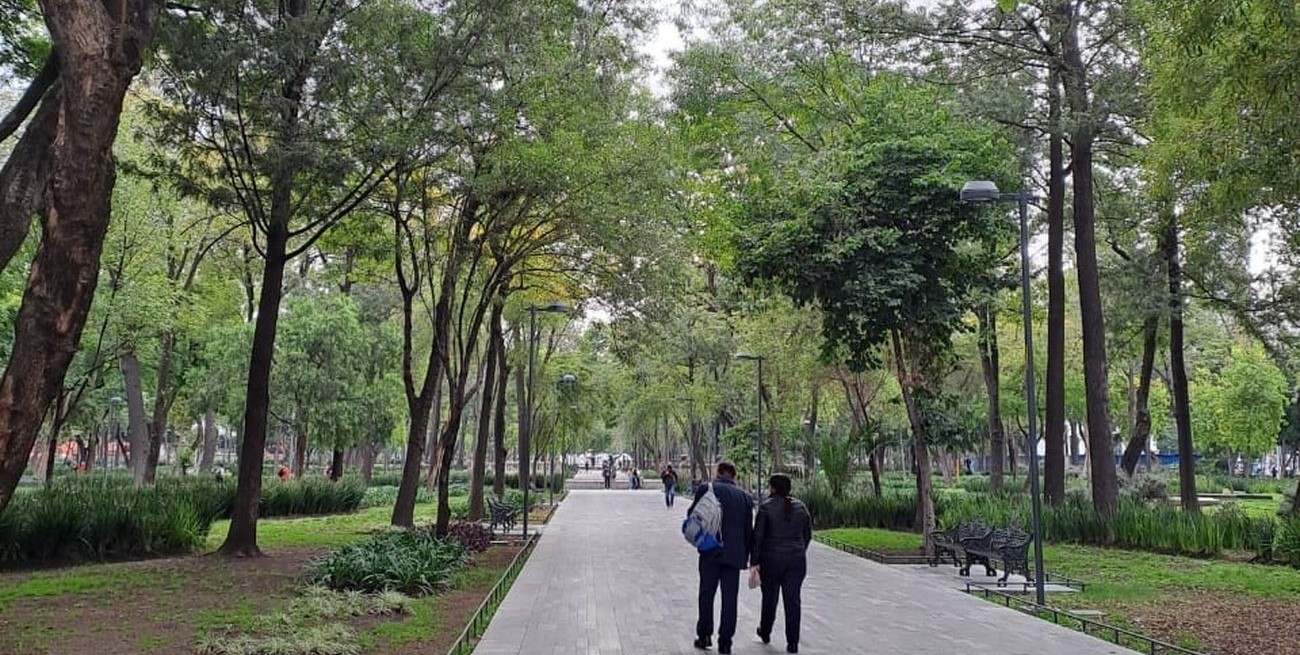 Día Internacional de los Bosques: la Facultad de Ciencias Agrarias trabaja en concientizar