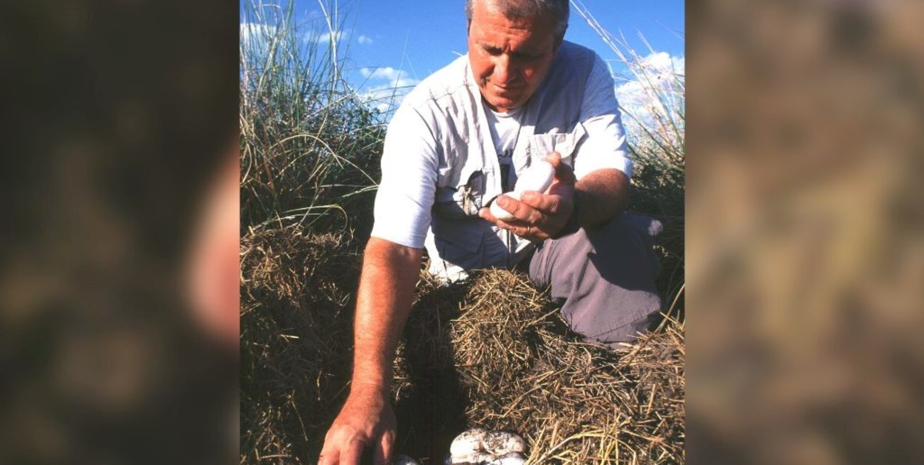 Cuarenta años rompiendo huevos