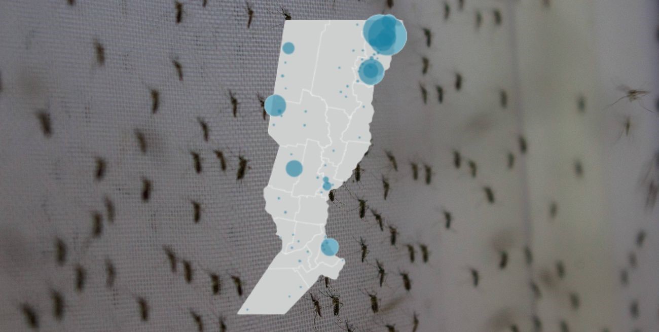 Dengue en Santa Fe: cómo crecieron los casos y qué zonas tienen más infectados