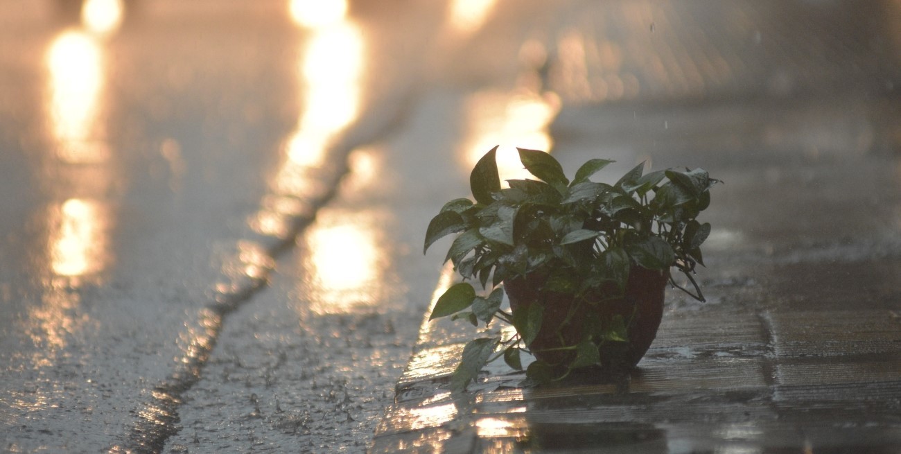 Alerta amarillo por lluvia y vientos en cinco provincias del país