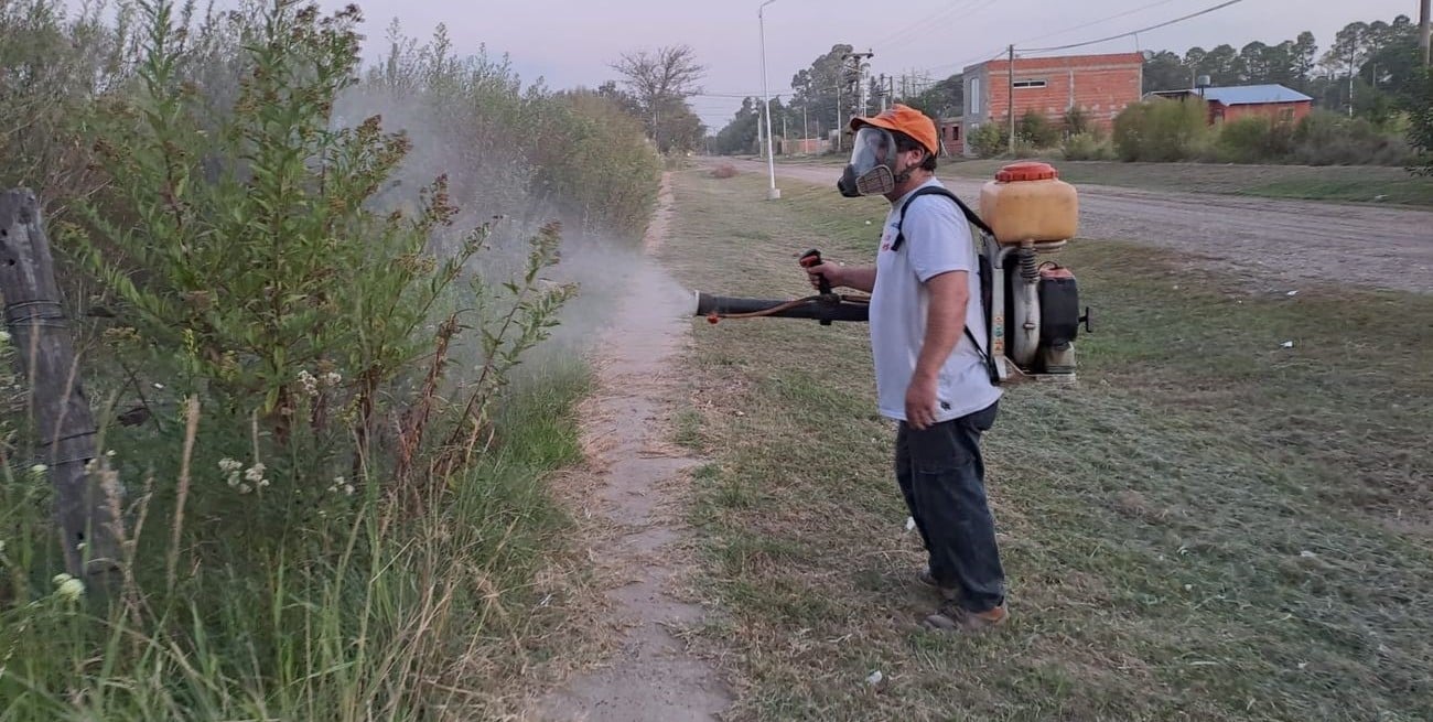 El Trébol: confirmaron ocho casos positivos de Dengue y cuatro en análisis