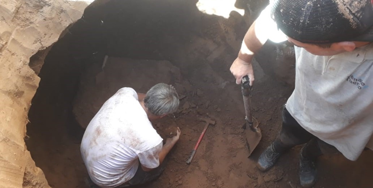 Hallan restos de un gigantesco perezoso de 8 mil años de antigüedad en Venado Tuerto