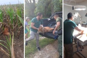 El animal fue llevado a la Granja La Esmerlda