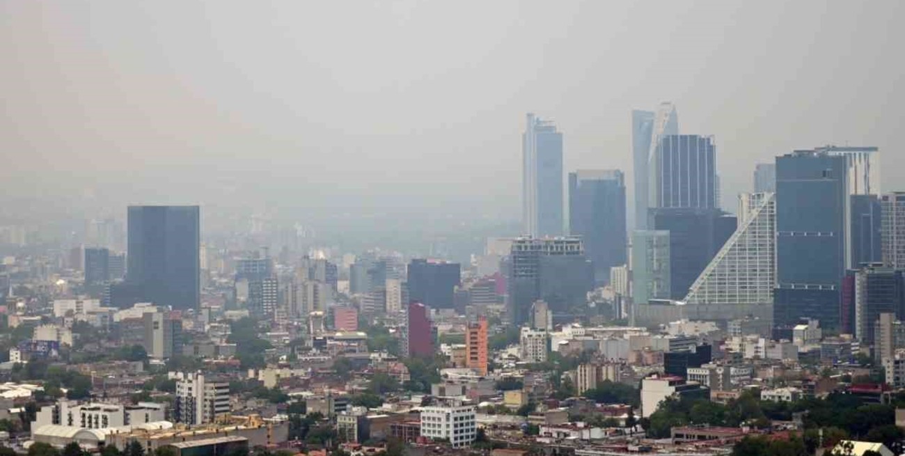 Contaminación ambiental: detectaron genes afectados en bebés de Ciudad de México