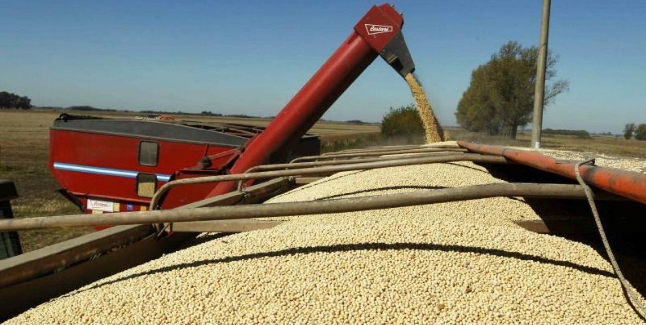 Agroexportadores liquidaron casi US$ 94 millones