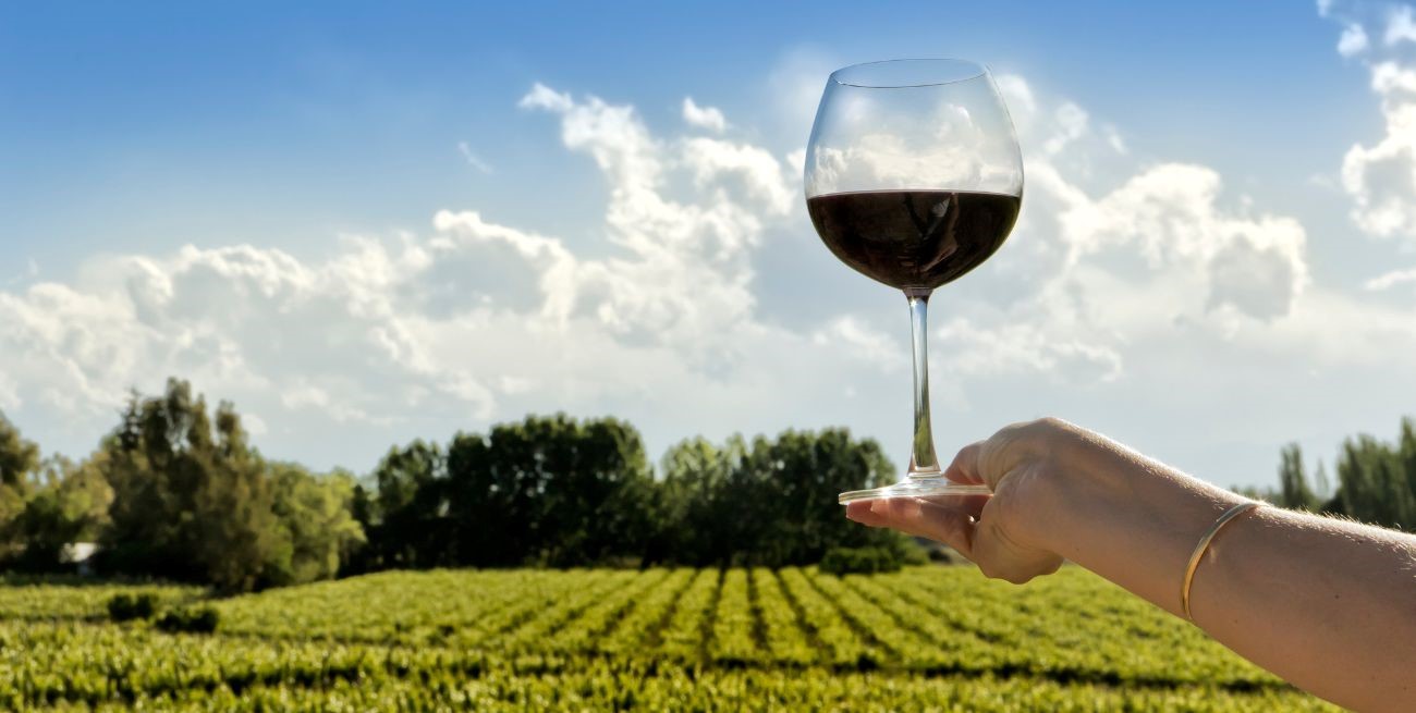 Brindemos por el Día Mundial del Malbec: la fiesta del vino argentino