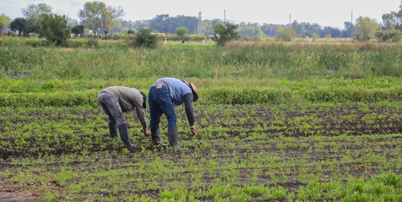 Avanza el Programa de Incremento Exportador que lanzó Massa