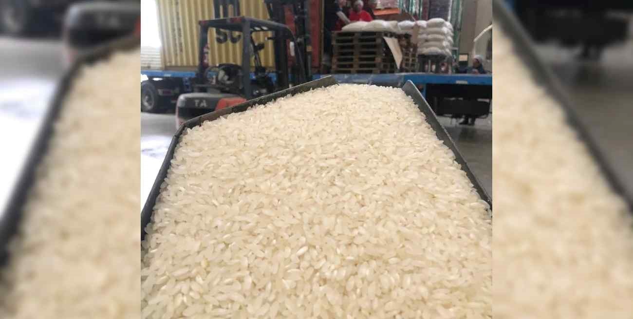 Advierten que el dólar agro impulsará los precios internos del arroz