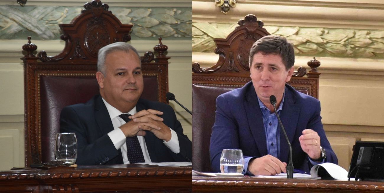 Parecidos, pero diferentes