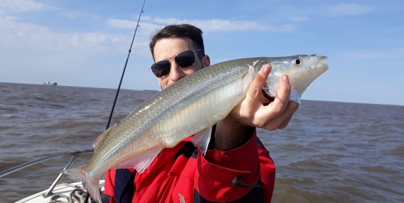 La temporada de pesca de pejerrey explota en el sur santafesino