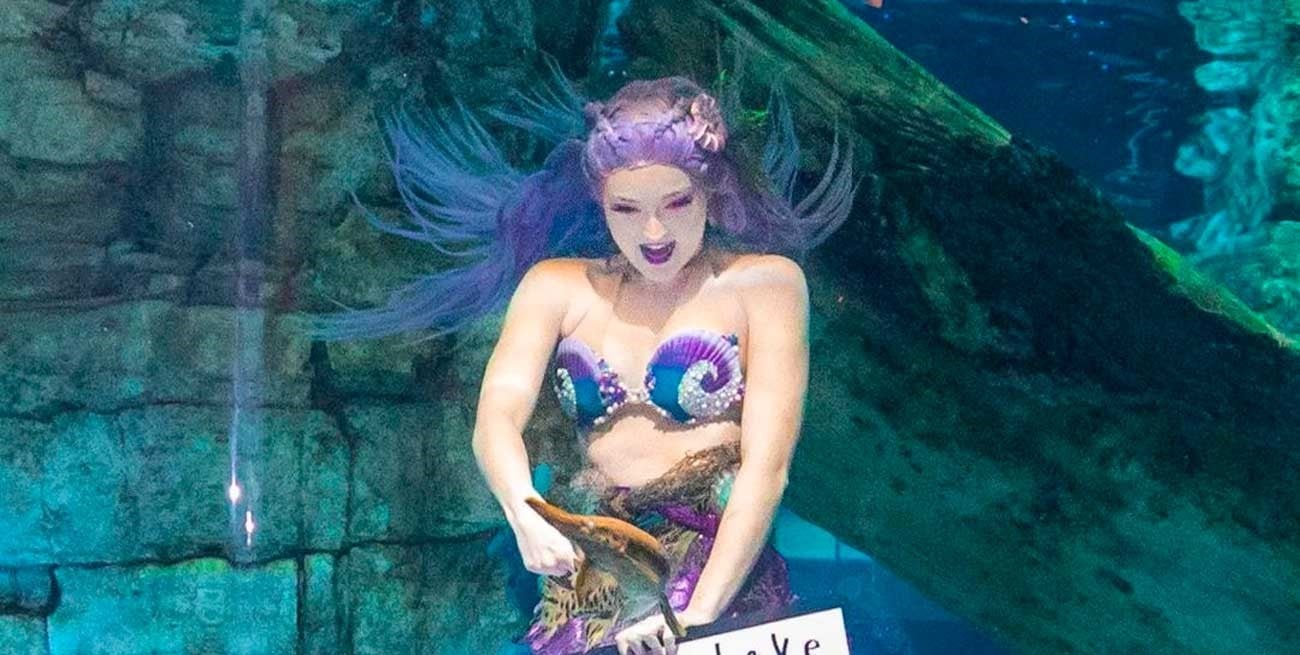 Una sirena "real" enseña el cuidado del medio ambiente y es viral en Estados Unidos