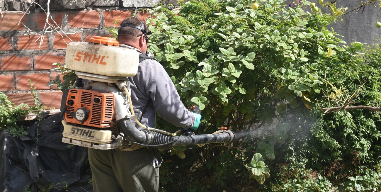 Santa Fe registró 2.100 casos de dengue y 51 de chikungunya en la última semana