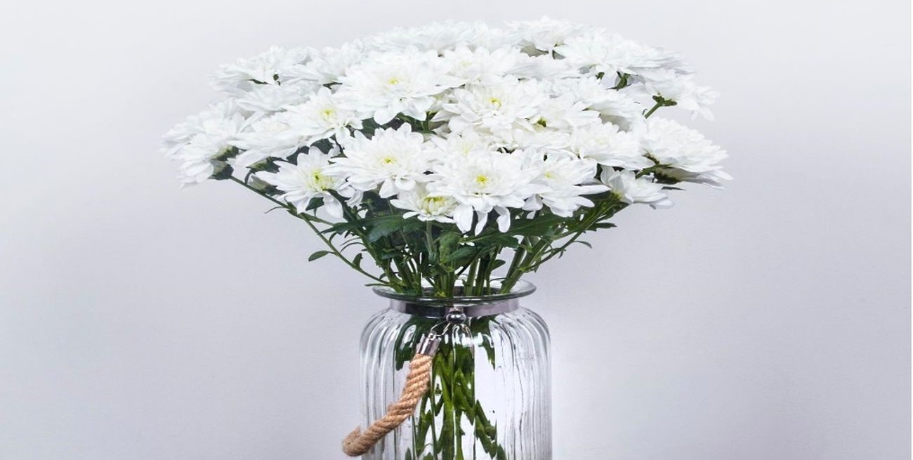 La Rebelión de los crisantemos 