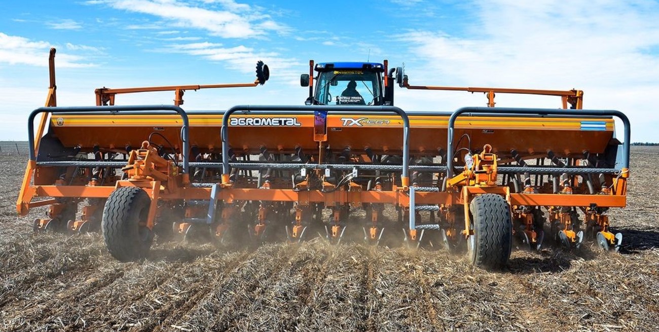 A semanas de sembrar, sigue faltando humedad para iniciar la campaña triguera