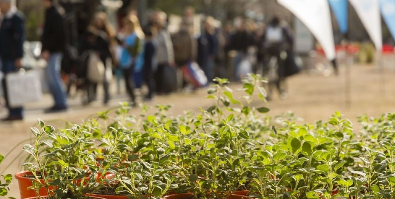 Las cuatro plazas será escenario de un canje de reciclables