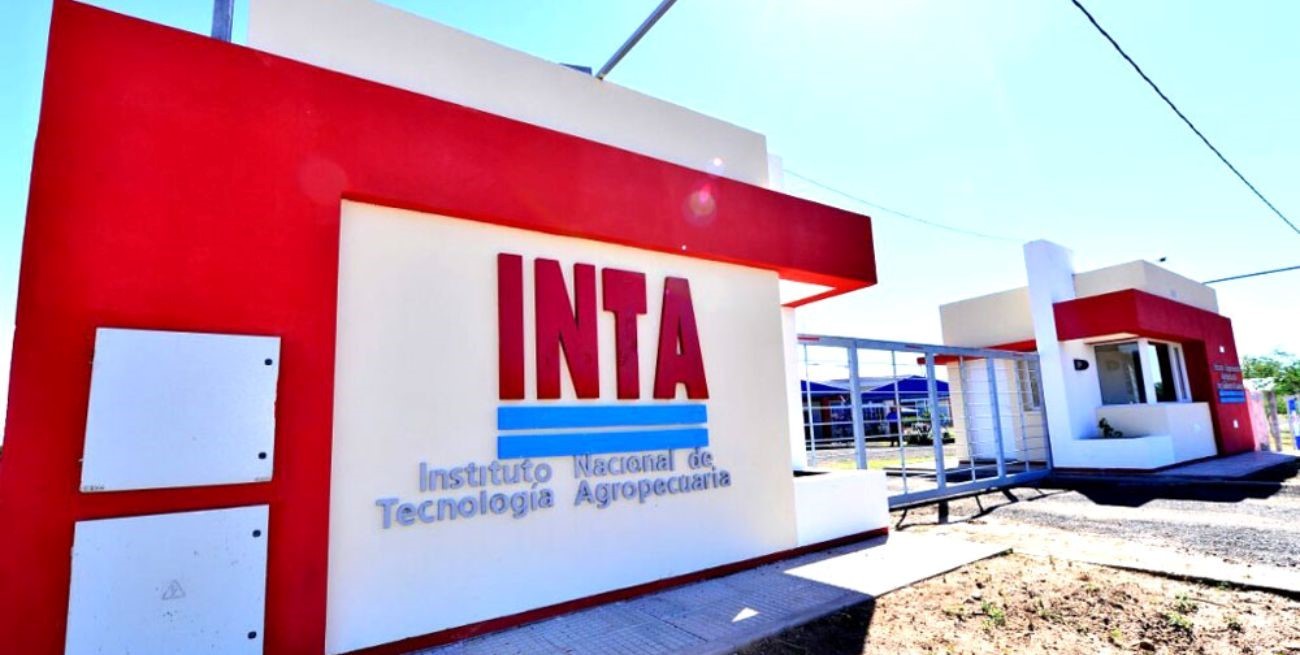  INTA sufre un ataque cibernético que afecta sus servicios informáticos